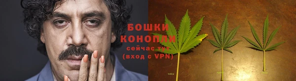дмт Иннополис
