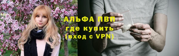 тгк Инта