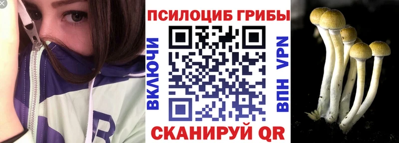 Купить где  Острогожск  Псилоцибиновые грибы Cubensis 